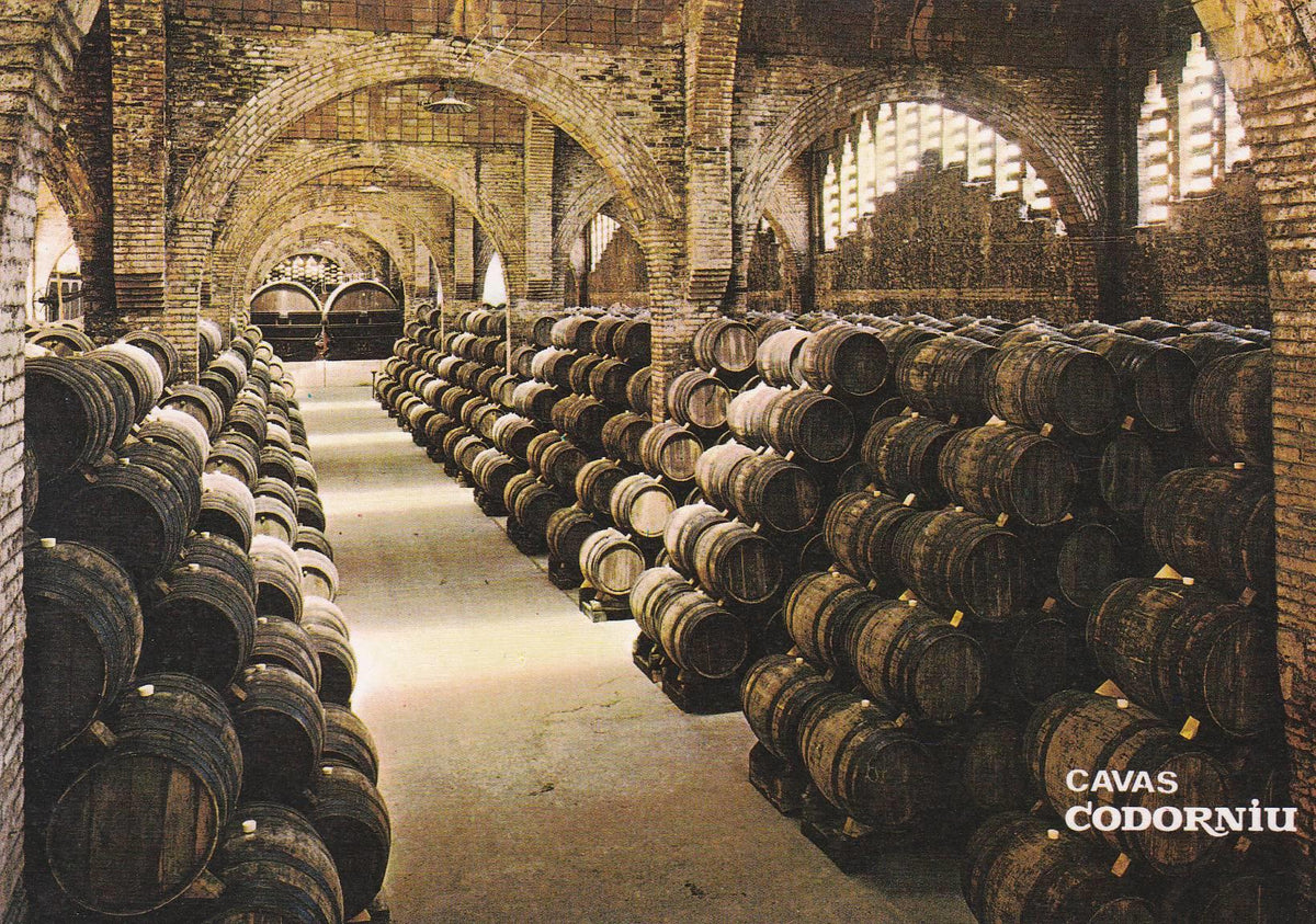 POSTAL B8666: CAVAS CODORNIU: UNA BODEGA