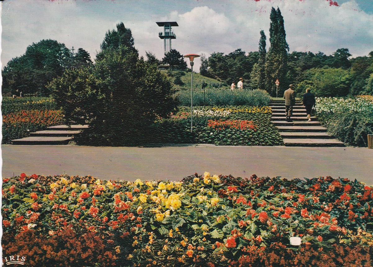 POSTAL B8712: STUTTGART: BLUMENFELDER