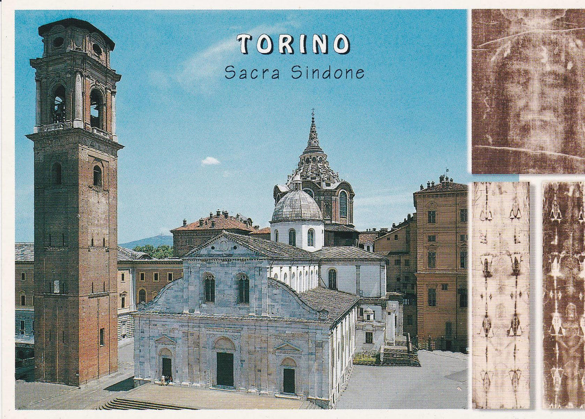 POSTAL B8736: TORINO: DIVERSOS ASPECTOS