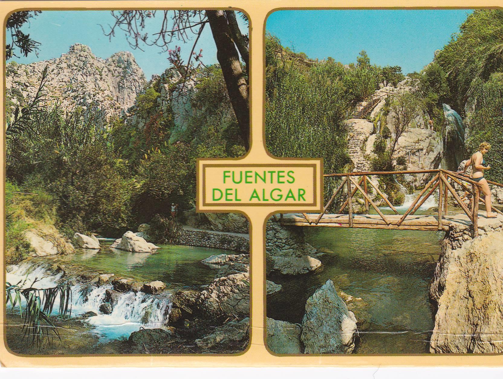 POSTAL B8787: ALICANTE: CALLOSA D EN SARRIA