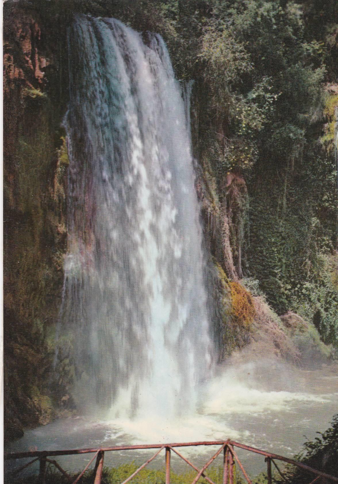 POSTAL B8814: ZARAGOZA: MONASTERIO DE PIEDRA. CASCADA