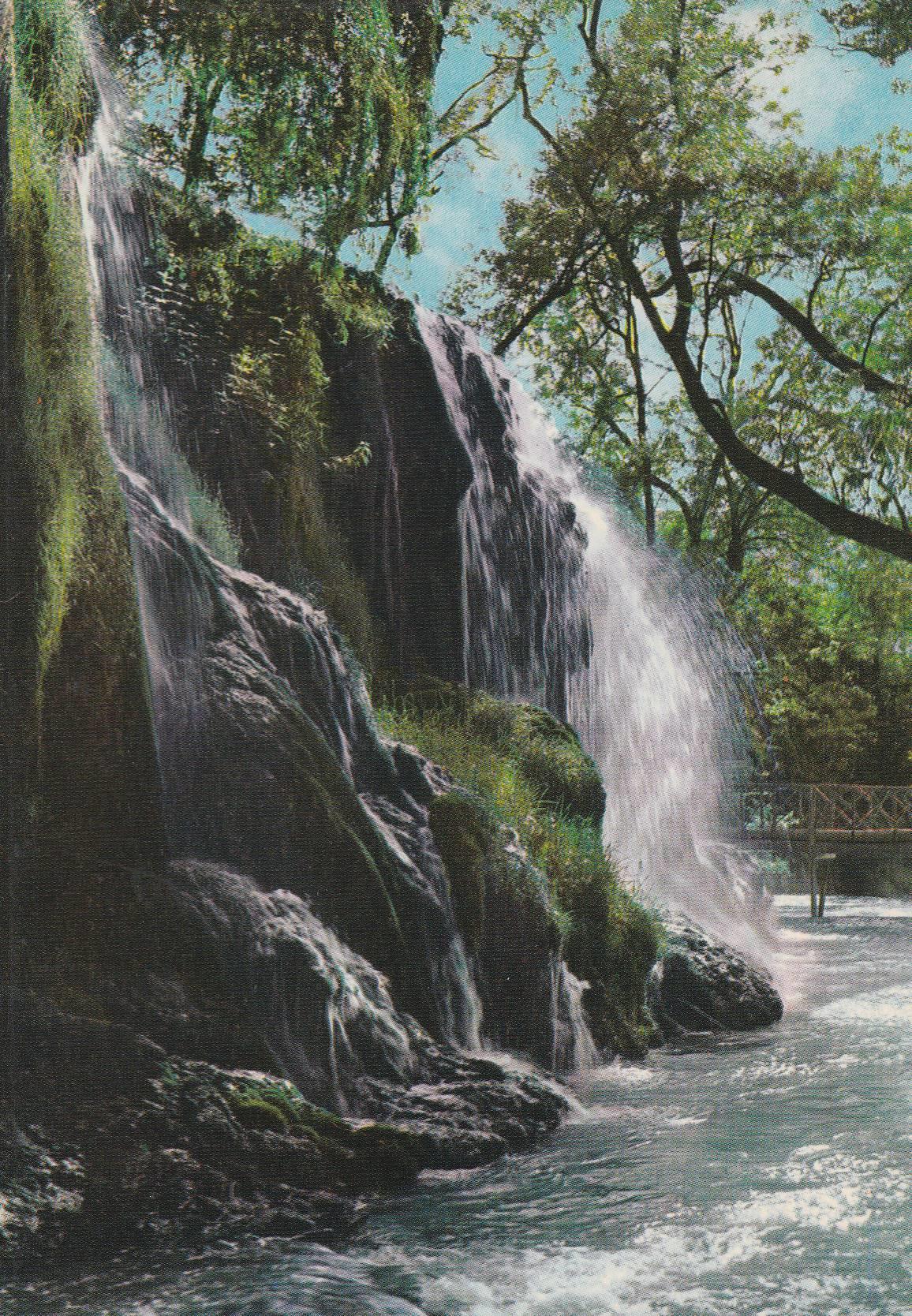 POSTAL B8820: ZARAGOZA: MONASTERIO DE PIEDRA. CASCADA