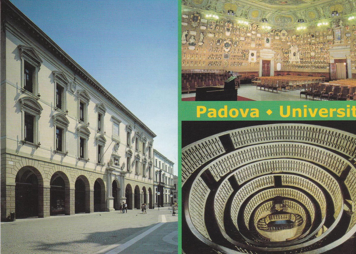 POSTAL B8851: PADOVA: UNIVERSIDAD 