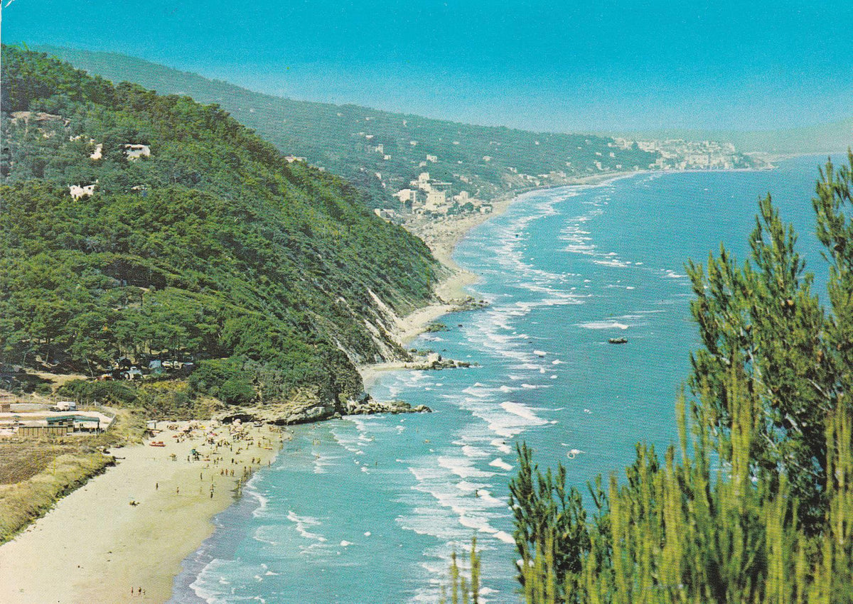 POSTAL B8861: ITALIA: RIVIERA NORTE