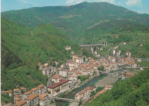 POSTAL B8864: ROSSIGLIONE: VISTA AEREA