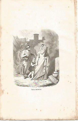 LAMINA 11586: Troya destruida