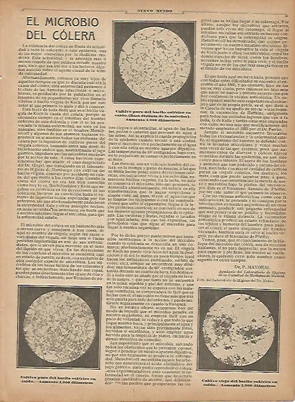 LAMINA 11749: El microbio del colera