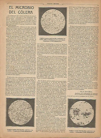 LAMINA 11749: El microbio del colera