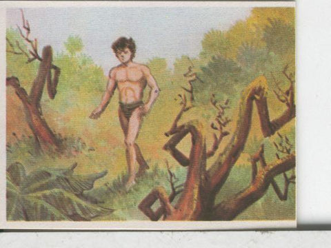 Cromos: Aventuras de Jorge, el Pequeño Tarzan, autor Gigarpe numero 022