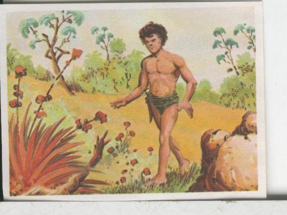 Cromos: Aventuras de Jorge, el Pequeño Tarzan, autor Gigarpe numero 025