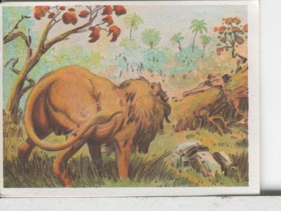 Cromos: Aventuras de Jorge, el Pequeño Tarzan, autor Gigarpe numero 037