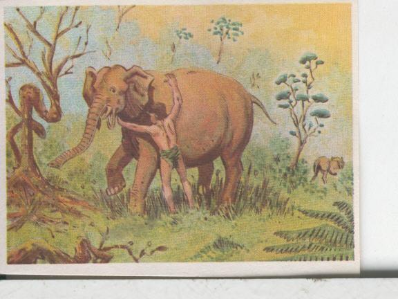 Cromos: Aventuras de Jorge, el Pequeño Tarzan, autor Gigarpe numero 045