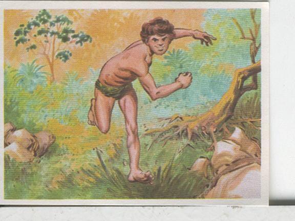 Cromos: Aventuras de Jorge, el Pequeño Tarzan, autor Gigarpe numero 070