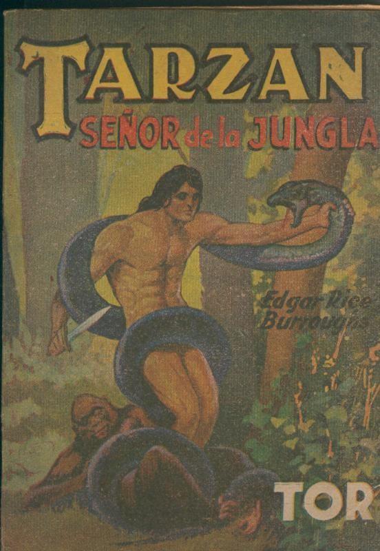 Historias de Tarzan de los Monos numero 11: Tarzan señor de la jungla