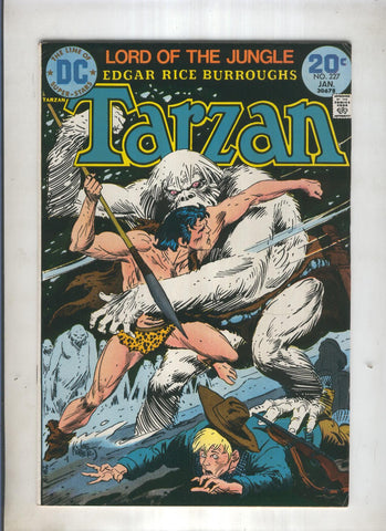 TARZAN LORD OF THE JUNGLE DC Numero 227: Ice Jungle