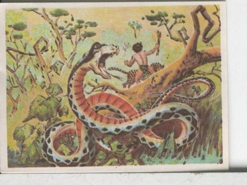 Cromos: Aventuras de Jorge, el Pequeño Tarzan, autor Gigarpe numero 019