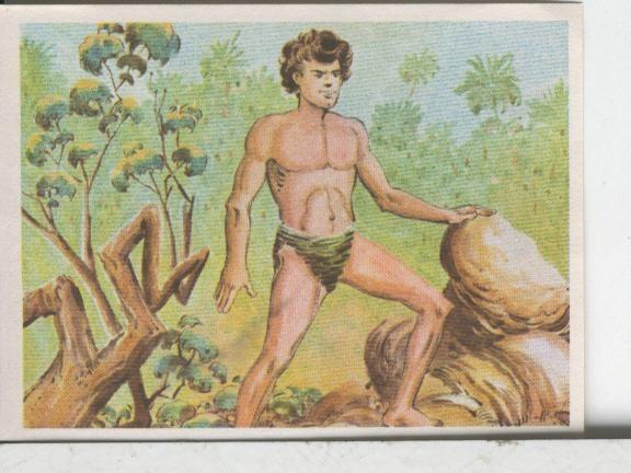 Cromos: Aventuras de Jorge, el Pequeño Tarzan, autor Gigarpe numero 080
