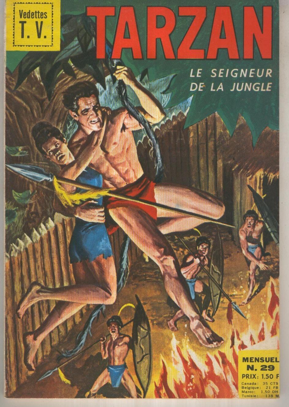 TARZAN Le Seigneur de la Jungle 29: La longue quete de Tarzan