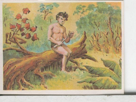 Cromos: Aventuras de Jorge, el Pequeño Tarzan, autor Gigarpe numero 024