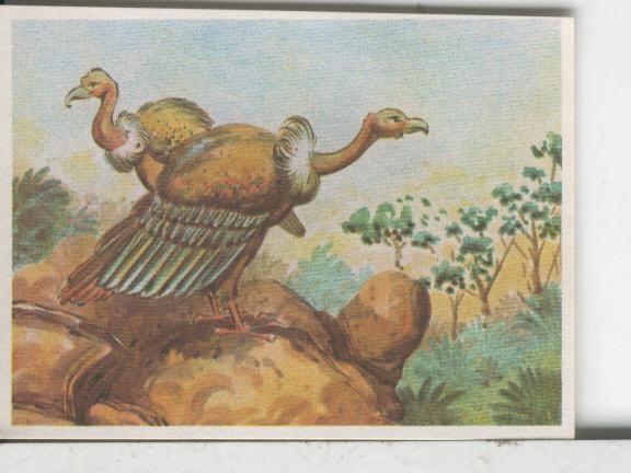 Cromos: Aventuras de Jorge, el Pequeño Tarzan, autor Gigarpe numero 068