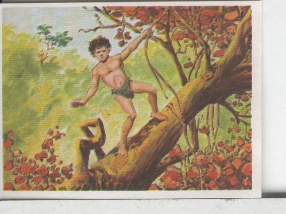 Cromos: Aventuras de Jorge, el Pequeño Tarzan, autor Gigarpe numero 013
