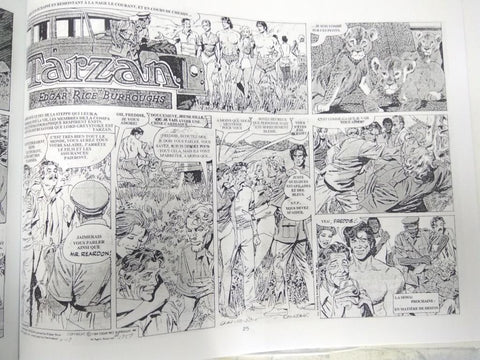 TARZAN (Gray Morrow), Pages du Dimanche: Del Numero 2733 (01-01-1984) a 2785 (30-12-1984)