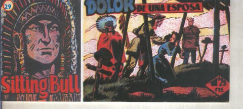 Sitting Bull facsimil numero 29: El dolor de una esposa