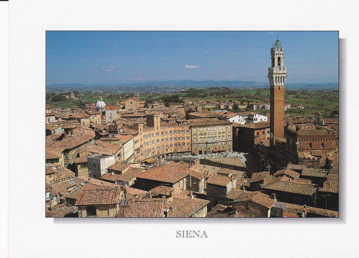 POSTAL B8970: SIENA: VISTA PANORAMICA