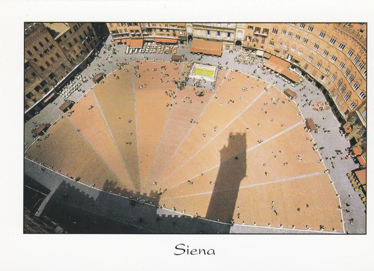 POSTAL B8973: SIENA: PLAZA DEL CAMPO