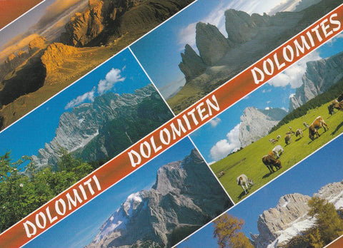 POSTAL B8991: DOLOMITI: PASEO PORDOI