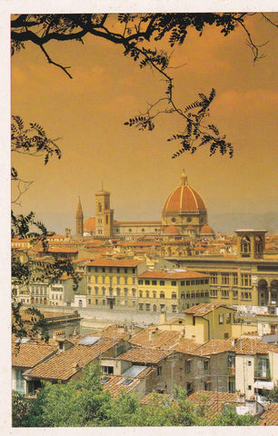 POSTAL B8997: FIRENZE: VISTA AEREA
