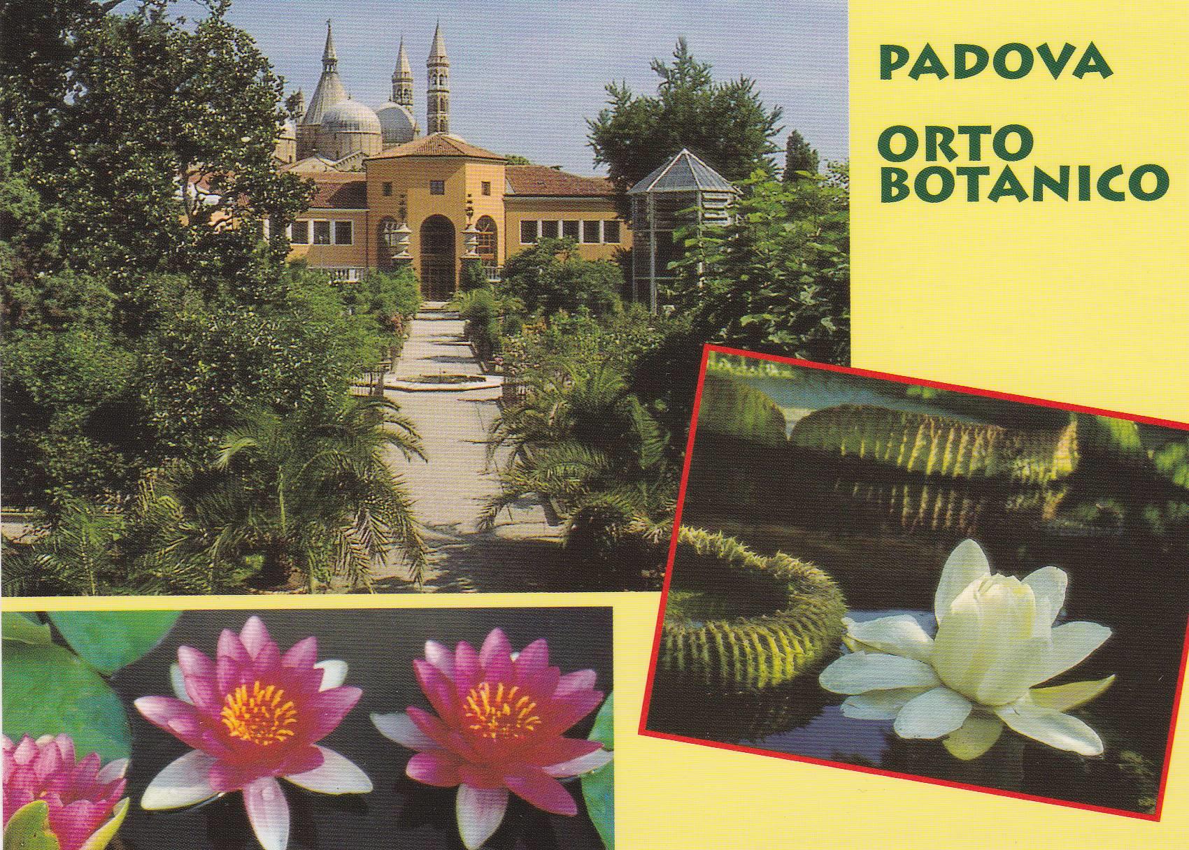 POSTAL B9067: PADOVA: PARQUE BOTANICO