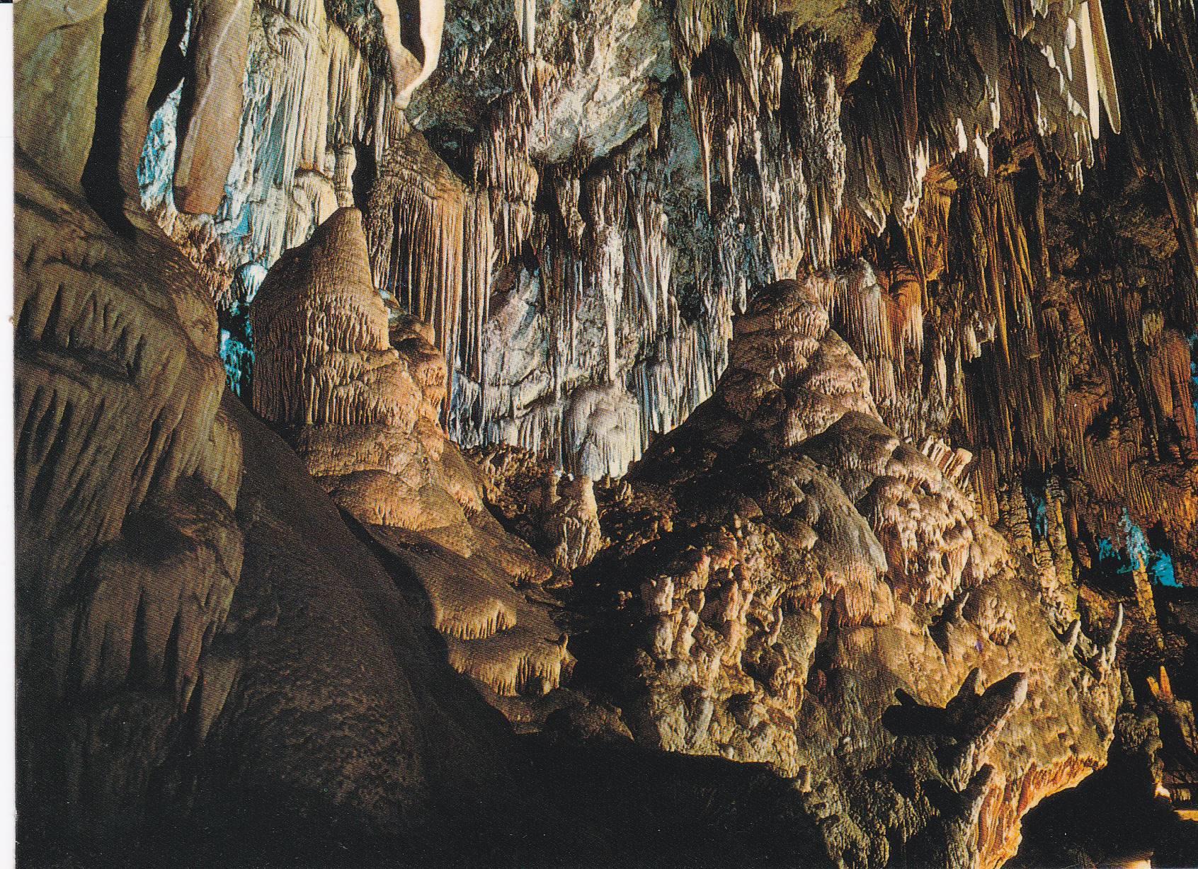 POSTAL B9123: MALAGA: CUEVA DE NERJA