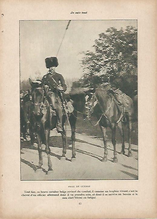 LAMINA 11935: Soldado de caballeria belga