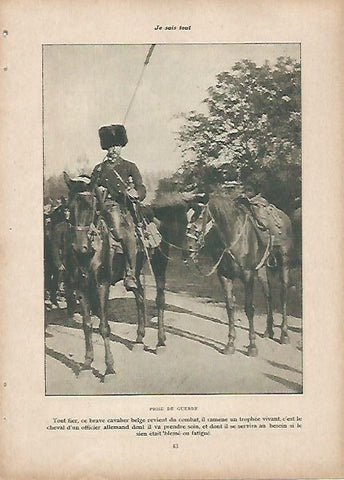 LAMINA 11935: Soldado de caballeria belga