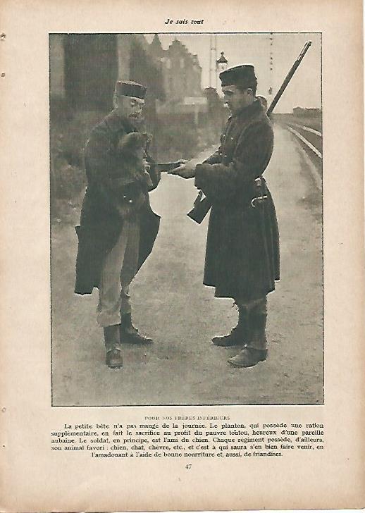 LAMINA 11937: Soldados del ejercito de Belgica