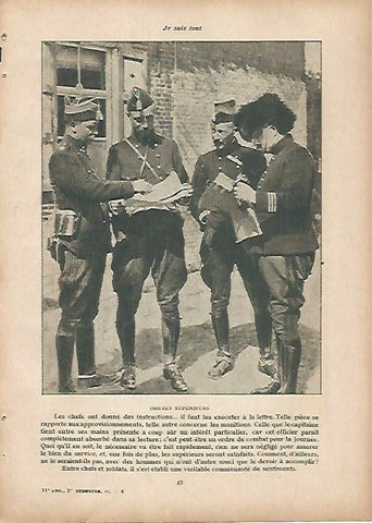 LAMINA 11938: Mandos del ejercito de Belgica