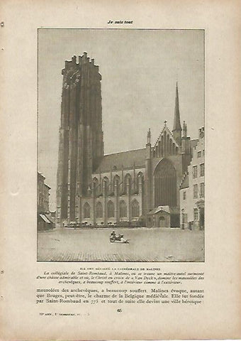 LAMINA 11946: Catedral de Malines