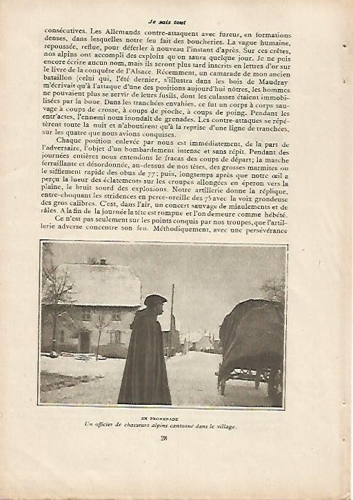 LAMINA 11985: Oficial de Cazadores Alpinos
