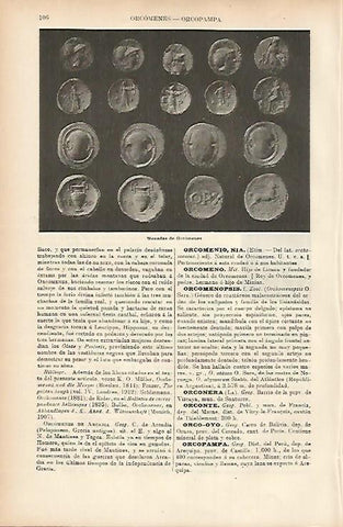 LAMINA ESPASA 7575: Monedas de Orcomenes Grecia