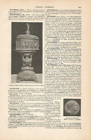 LAMINA ESPASA 7934: Relicario de San Euticio