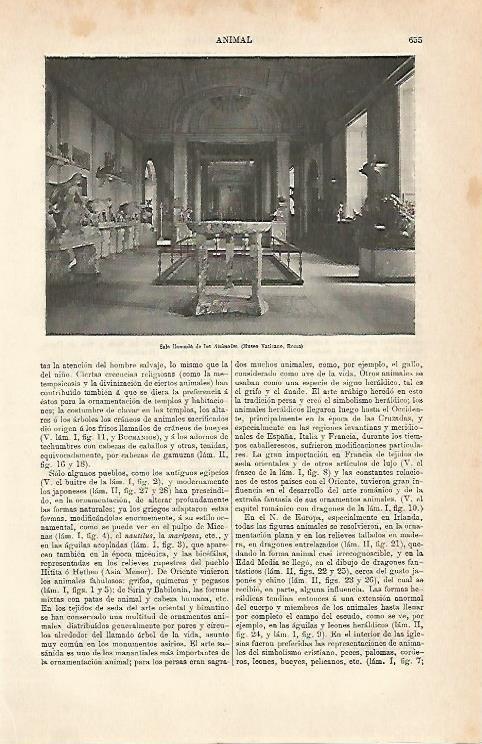 LAMINA ESPASA 7004: Sala de los Animales del Museo del Vaticano