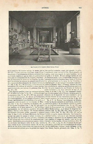 LAMINA ESPASA 7004: Sala de los Animales del Museo del Vaticano