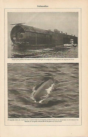LAMINA ESPASA 7359: Dique para probar submarinos de 1919
