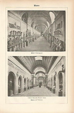 LAMINA ESPASA 10409: Museos del Vaticano