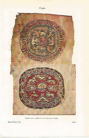 LAMINA ESPASA 14913: Tejidos coptos