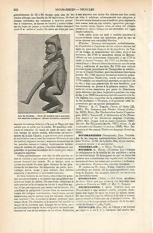 LAMINA ESPASA 9444: Idolo de madera de la Isla de Nicobar India