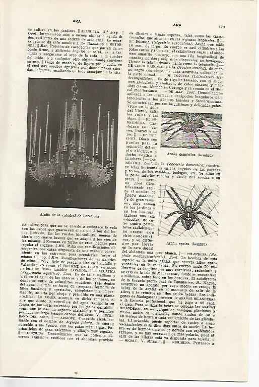 LAMINA SALVAT 80272: Araña de la Catedral de Barcelona