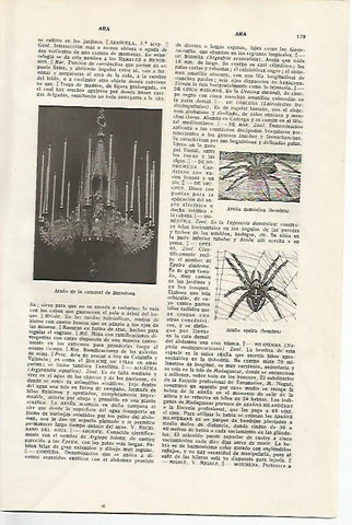 LAMINA SALVAT 80272: Araña de la Catedral de Barcelona