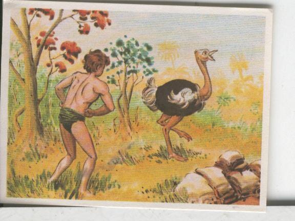 Cromos: Aventuras de Jorge, el Pequeño Tarzan, autor Gigarpe numero 083